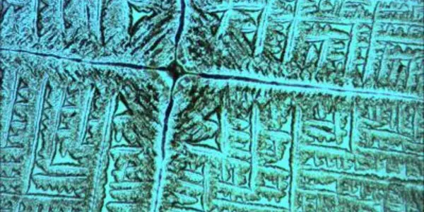 Look At The Biosaline Patterns Formed By E. Coli In Salt