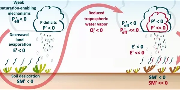 If Droughts Are Predictable Because They Self-Propagate, Not Planning For Them Is Irresponsible