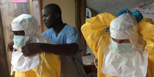 Deforestation And Industrial-Scale Farming Could Lie Behind Ebola Outbreak