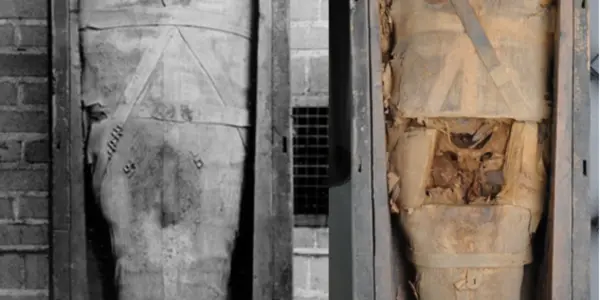 Mummy Madness In The Anatomical Record - All Open Access