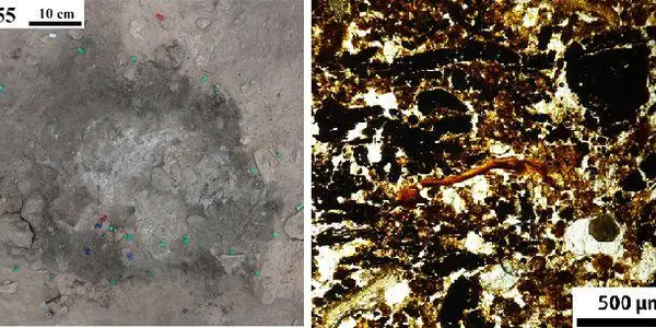 El Salt  Neanderthal Settlement Patterns Revealed? They Likely Moved With The Seasons