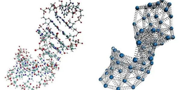 RNA Beads And Springs In Elastic Network Model