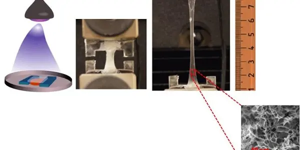 Protein-Based Elastic Gel Heals Wounds