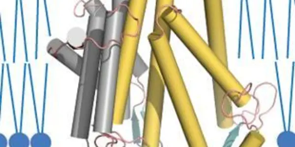 How Cholesterol Is Made