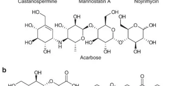 New Molecules Similar To Carbohydrates Can Inhibit Enzymes In Infectious Diseases