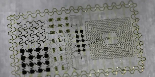 A Tattoo That Can Monitor Your Brain Waves