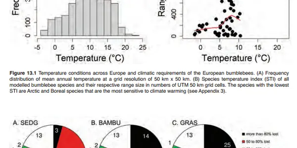 A Beepocalypse Could Still Happen - But Due To Climate Change
