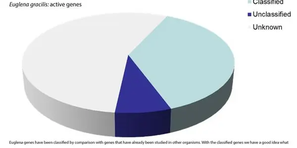 The Genetic Potential In Your Pond