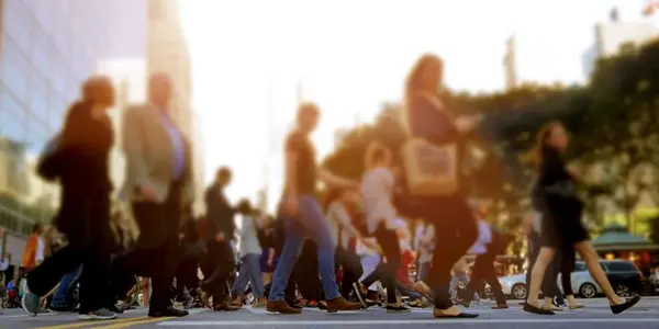 Obesity Has Led To A Non-Alcoholic Fatty Liver Disease Epidemic In Europe