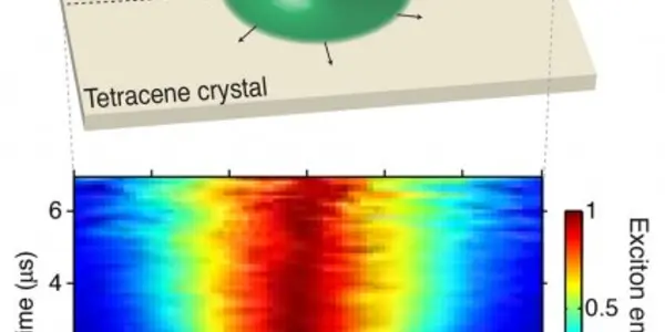 Quasiparticle Excitons - First Direct Observation In Motion