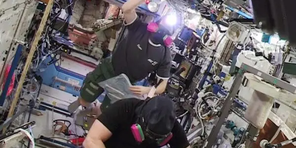 Space Station False Alarm Keeps Science Flies From Their Breakfast