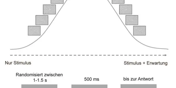 How Expectations Speed Up Perception