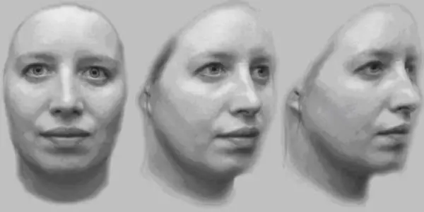 How Bees Sees Can Teach Us About Computerized Facial Recognition
