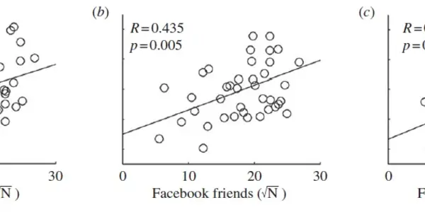 Number Of Facebook Friends Linked To Brain Structures