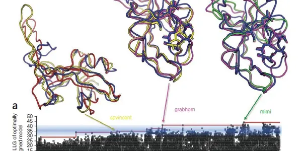 Gamers Help Scientists Solve Enzyme Structure