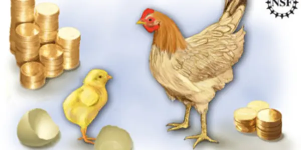 Building Blocks of Life - Food Intake Versus Growth