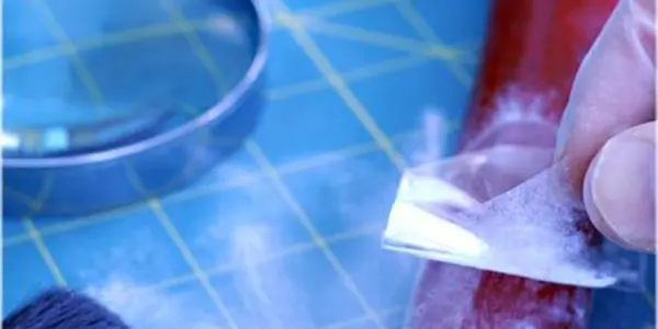 The Law has Failed, Not Forensic Science