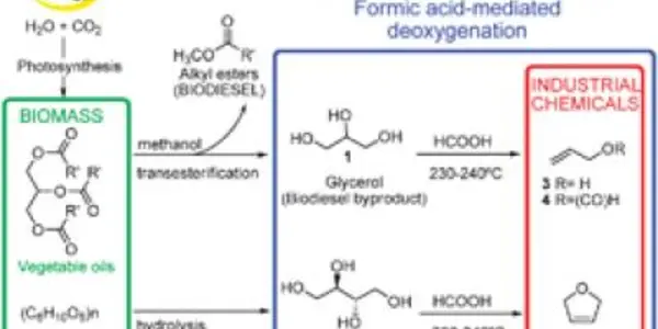 Biomass Gets An Extreme Makover, Thanks To Chemistry