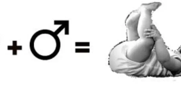 Love: An Almost Scientific Investigation