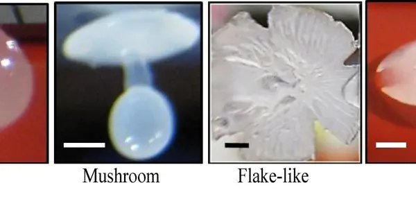 Molten Wax, Cool Liquid Baths - Science Is A Lot Sexier Than Fifty Shades Of Grey