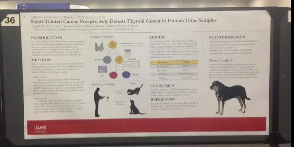 This Dog Can Detect Thyroid Cancer - By Sniffing Human Urine Samples