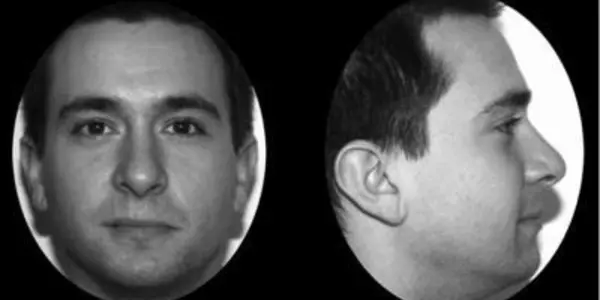 Handsome Face Linked To Lower Semen Quality