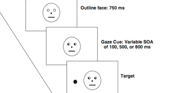 Liberal Versus Conservative Biology: Your Eyes Can Reveal Your Politics?