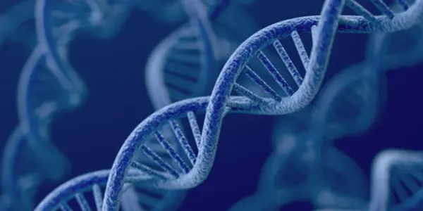 4 Things You Should Know About Gene Patents