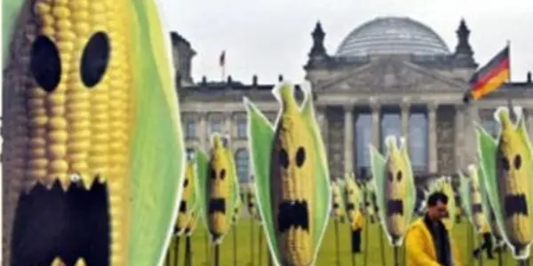 Make Better GMOs - Or Else!