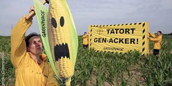 Top Scientists Chastise Greenpeace