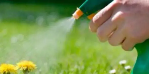Glyphosate Lawsuits: From $2 Billion To $25 Million On Their Way To $0
