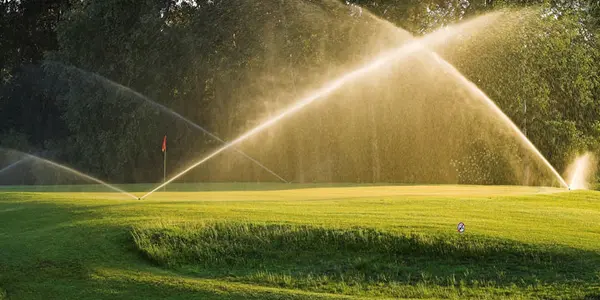 Genetically Engineered Golf: How Science Is Helping Reduce Water Use