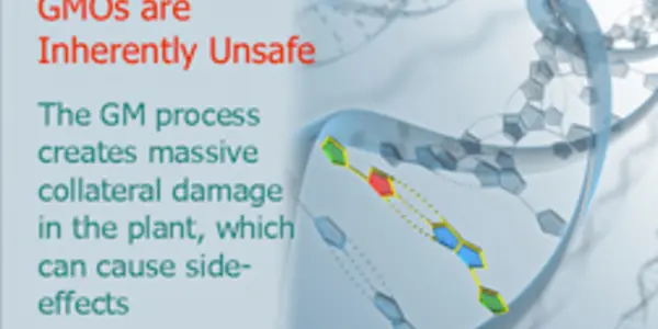 Are Ebola Drug Researchers Developing ‘Death Drugs’ That Could Wipe Out Humanity?