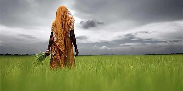 Environmental Accountability: What America Gets Wrong, Canada And India Get Right