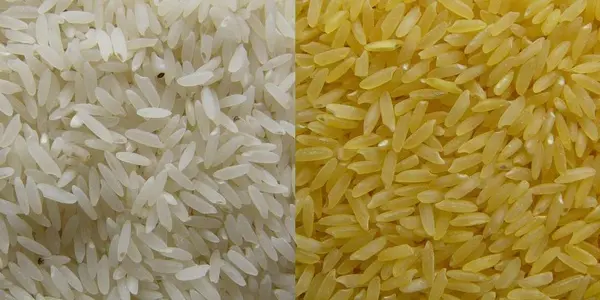 The Lack Of A Corporate Parent Will Doom Golden Rice, Say Critics