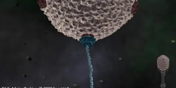 Identified - Clockwork That Starts Powerful Virus 'Engines'