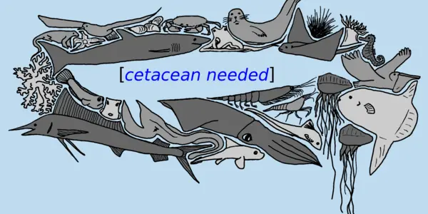 I Like Whales Even Though They Eat Squid