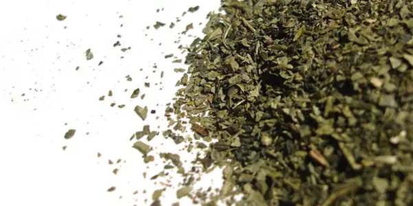 Catechins In Green Tea Reduce Prostate Cancer In Men At High Risk