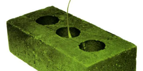 Rethinking Green