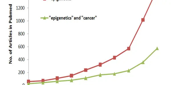 Cancer Epigenetics Research