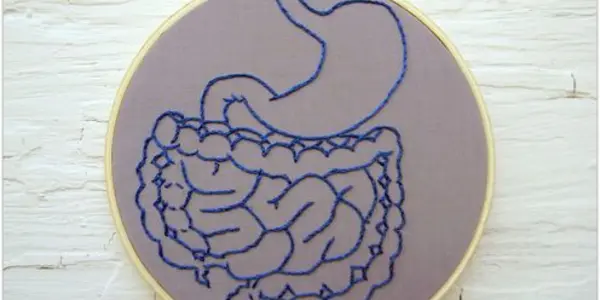 How Gut Bacteria Ensure A Healthy Brain – and Could Play A Role In Treating Depression