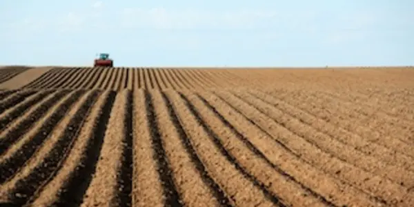 Zombie Carbon In The Soil Rises Again