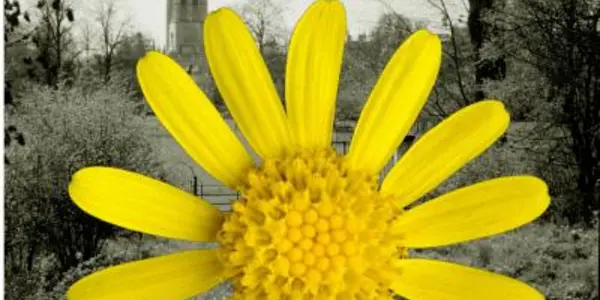 Genetic cross-talk: Sicilian enters British genetic language