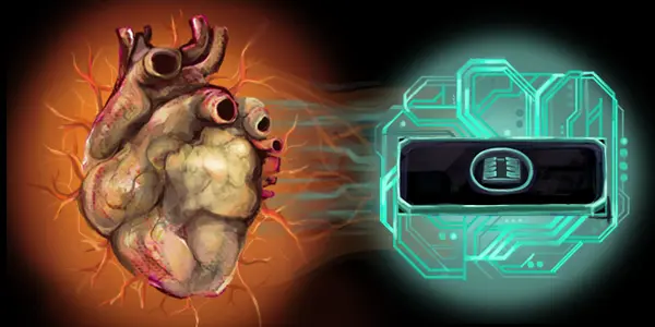 Personalized Drug Testing, Thanks To Your Heart On A Chip