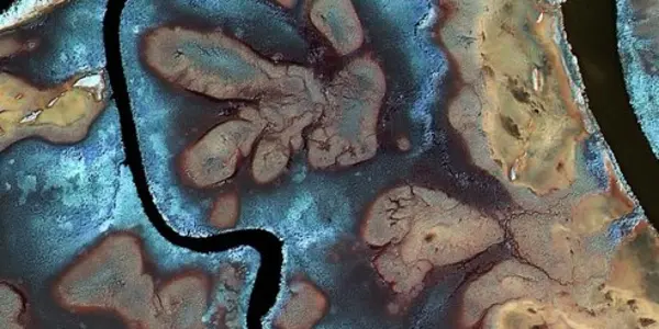 Heart Of Voh - Not A D&D Relic, It's A Swamp As Seen From Space