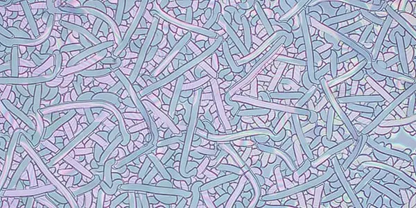 Breaking Beautiful - The Useful Mechanism In Patterns Of Cracks