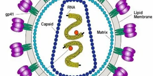 Will This HIV Vaccine Succeed Where Others Have Failed?