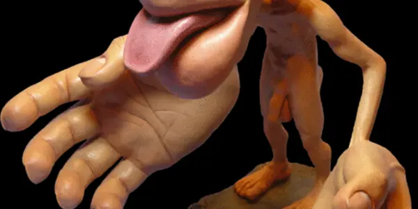 The Origin And Evolution Of The Homunculus