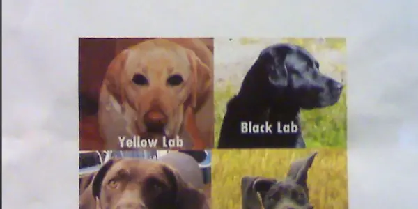 How To Identify A Meth Lab