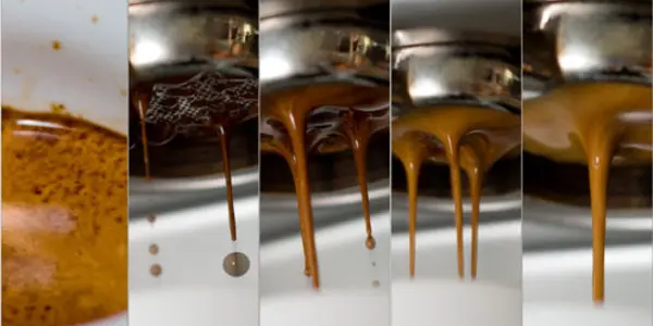 Electron Paramagnetic Resonance Spectroscopy Reveals Health Benefits Of Coffee